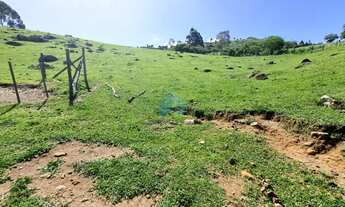 Imagem 3: Terreno de 2,9 Hectares, Localizado no Bairro Praia Vermelha, em Imaruí