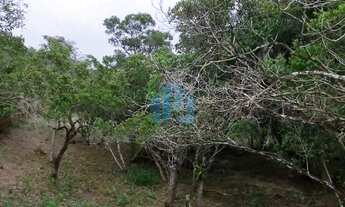 Imagem 7: Amplo Terreno Localizado no Condomínio Caminho do Rei, Bairro Ferrugem, em Garopaba!