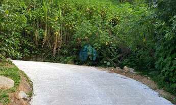 Imagem: Terreno Localizado no Bairro Pinguirito