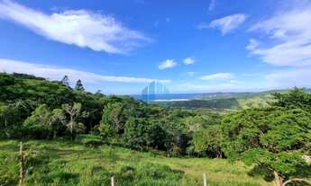 Imagem 3: Terreno de 1 Hectare, com Linda Vista p/ Mar, Bairro Macacu, em Garopaba!