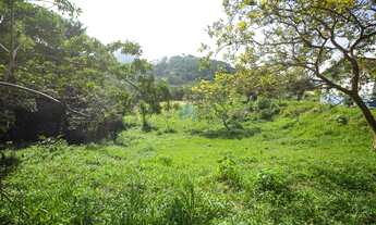 Imagem 3: Amplo Terreno em Garopaba, com Vista p/ a Pedra Branca e a 500 m da Cascata Encantada