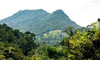 Imagem: Amplo Terreno em Garopaba, com Vista p/