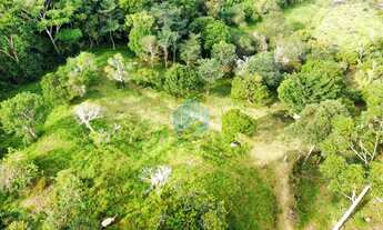 Imagem 1: Terreno de 1 Hectare, com Linda Vista p/ Mar, Bairro Macacu, em Garopaba!