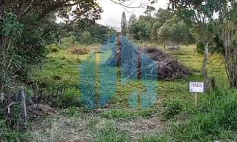 Imagem: Ótimo Terreno, Potencial para Comércio