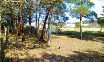 Imagem: Terreno com Ótima Localização, com Acesso