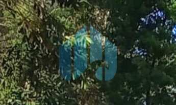 Imagem 6: Terreno com Ótima Localização, com Acesso à Lagoa de Ibiraquera, em Imbituba!