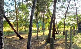 Imagem 4: Terreno com Ótima Localização, com Acesso à Lagoa de Ibiraquera, em Imbituba!