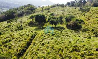 Imagem 7: Terreno com 4 Hectares, com Vista p/ Lagoa e Mar, Localizado no Bairro Macacu, em Garopaba