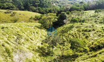 Imagem 5: Terreno com 4 Hectares, com Vista p/ Lagoa e Mar, Localizado no Bairro Macacu, em Garopaba