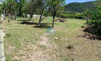 Imagem 3: Amplo Terreno em Paulo Lopes com Escritura Pública, a 10 min da Praia da Gamboa!
