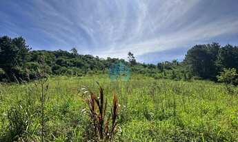 Imagem 6: Amplo Terreno de 2,6 Hectares, com Vista p/ Mar, em Garopaba!
