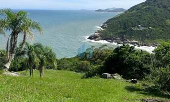Imagem 2: Amplo Terreno de 2,6 Hectares, com Vista p/ Mar, em Garopaba!