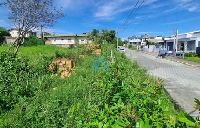 Imagem 6: Amplo Terreno Ficando a 1 km do Centro de Garopaba!