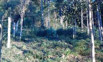 Imagem 4: Amplo Terreno Localizado no Bairro Encantada, em Garopaba!