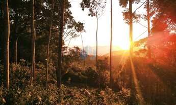 Imagem: Amplo Terreno Localizado no Bairro Encantada