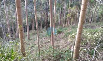 Imagem 5: Amplo Terreno Localizado no Bairro Encantada, em Garopaba!