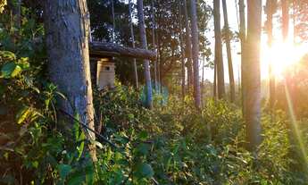 Imagem 3: Amplo Terreno Localizado no Bairro Encantada, em Garopaba!