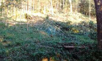 Imagem 2: Amplo Terreno Localizado no Bairro Encantada, em Garopaba!