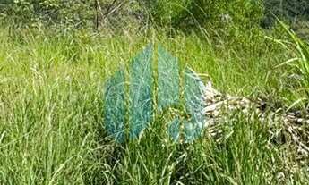 Imagem 3: Amplo Terreno com Vista Permanente p/ Praia do Siriú, em Garopaba!