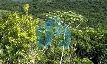 Imagem 2: Amplo Terreno com Vista Permanente p/ Praia do Siriú, em Garopaba!