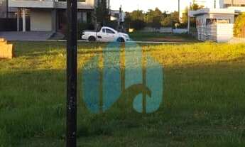 Imagem: Terreno Condominio Rosa Internacional, Limpa