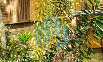 Imagem 4: Duas Lindas Casas Rústicas, em Amplo Terreno, na Praia do Rosa, com Uma Vista Incrível!