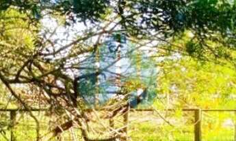 Imagem 4: Bela Casa na Praia do Rosa, com Vista Incrível p/ Lagoa, em Garopaba!