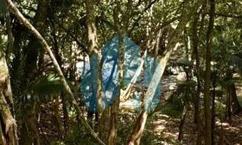 Imagem 7: Amplo Terreno com Vista p/ Mar, Próximo a Praia, Siriú