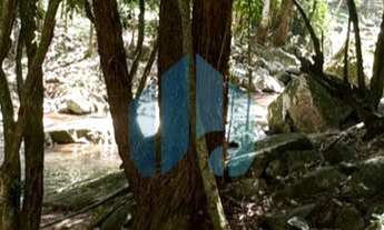 Imagem 6: Amplo Terreno com Vista p/ Mar, Próximo a Praia, Siriú