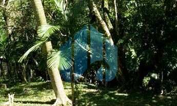 Imagem 4: Amplo Terreno com Vista p/ Mar, Próximo a Praia, Siriú