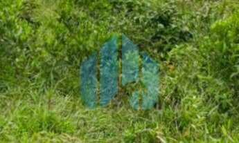 Imagem 6: Lindo Terreno p/ Investimento, com Vista p/ Lagoa da Ferrugem, no Morro da Silveira, em Ga