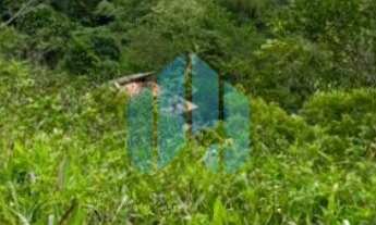 Imagem 4: Lindo Terreno p/ Investimento, com Vista p/ Lagoa da Ferrugem, no Morro da Silveira, em Ga