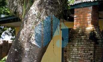 Imagem 4: Casa em Área Residencial ou Comercial, a Uma Quadra da Avenida Principal e 800 m da Praia