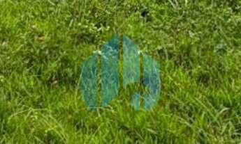 Imagem 5: Lindo Terreno p/ Investimento, com Vista p/ Lagoa da Ferrugem, no Morro da Silveira, em Ga