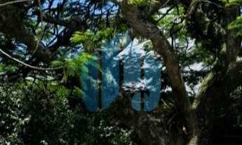 Imagem 7: Casa em Área Residencial ou Comercial, a Uma Quadra da Avenida Principal e 800 m da Praia