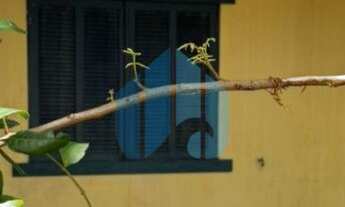 Imagem: Casa em Área Residencial ou Comercial