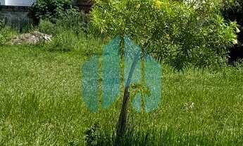 Imagem: Ótimo Terreno Localizado no Loteamento