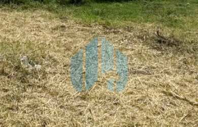 Imagem 5: Ótimo Terreno Próximo ao Centro da Cidade, Areias de Palhocinha