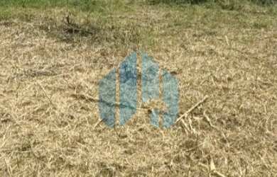 Imagem 2: Ótimo Terreno Próximo ao Centro da Cidade, Areias de Palhocinha