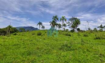 Imagem 4: Terreno de 27,1 Hectares, Próximo a BR - 101 e Cascata Encantada, Penha