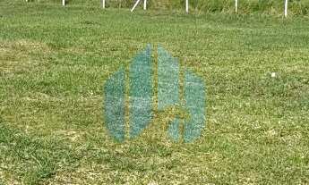 Imagem: Ótimo Terreno Próximo a BR - 101, Araçatuba