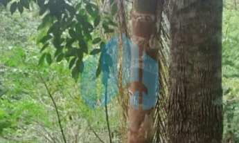 Imagem 7: Amplo Terreno com Duas Casas, com Vista p/ Mar, a 1,8 km da Praia do Siriú, Siriú