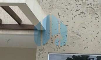 Imagem 4: Linda Casa a 2 km do Centro e Praia Central, Próxima de Todo Comércio, Ferraz