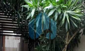 Imagem 7: Linda Casa a 2 km do Centro e Praia Central, Próxima de Todo Comércio, Ferraz