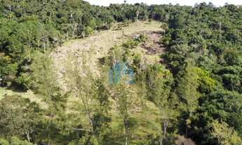 Imagem 3: Amplo Terreno de 2 Hectares, Próximo a Praia da Gamboa, Gamboinha