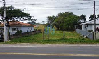 Imagem 2: Ótimo Terreno Localizado em Frente à SC - 434, Próximo de Todo Comércio, Areias de Palhoci