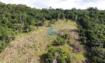 Imagem 2: Amplo Terreno de 2 Hectares, Próximo a Praia da Gamboa, Gamboinha