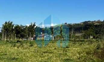 Imagem 4: Amplo Terreno, Laranjal