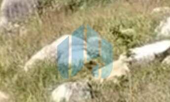 Imagem 6: Amplo Terreno, Encantada