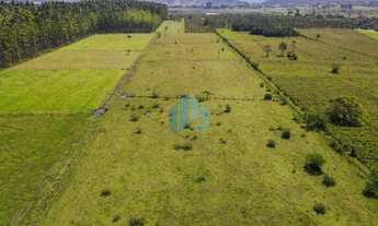Imagem 7: Amplo Terreno de 6,5 Hectares, com Fundos p/ Lagoa do Coração, Ribeirão